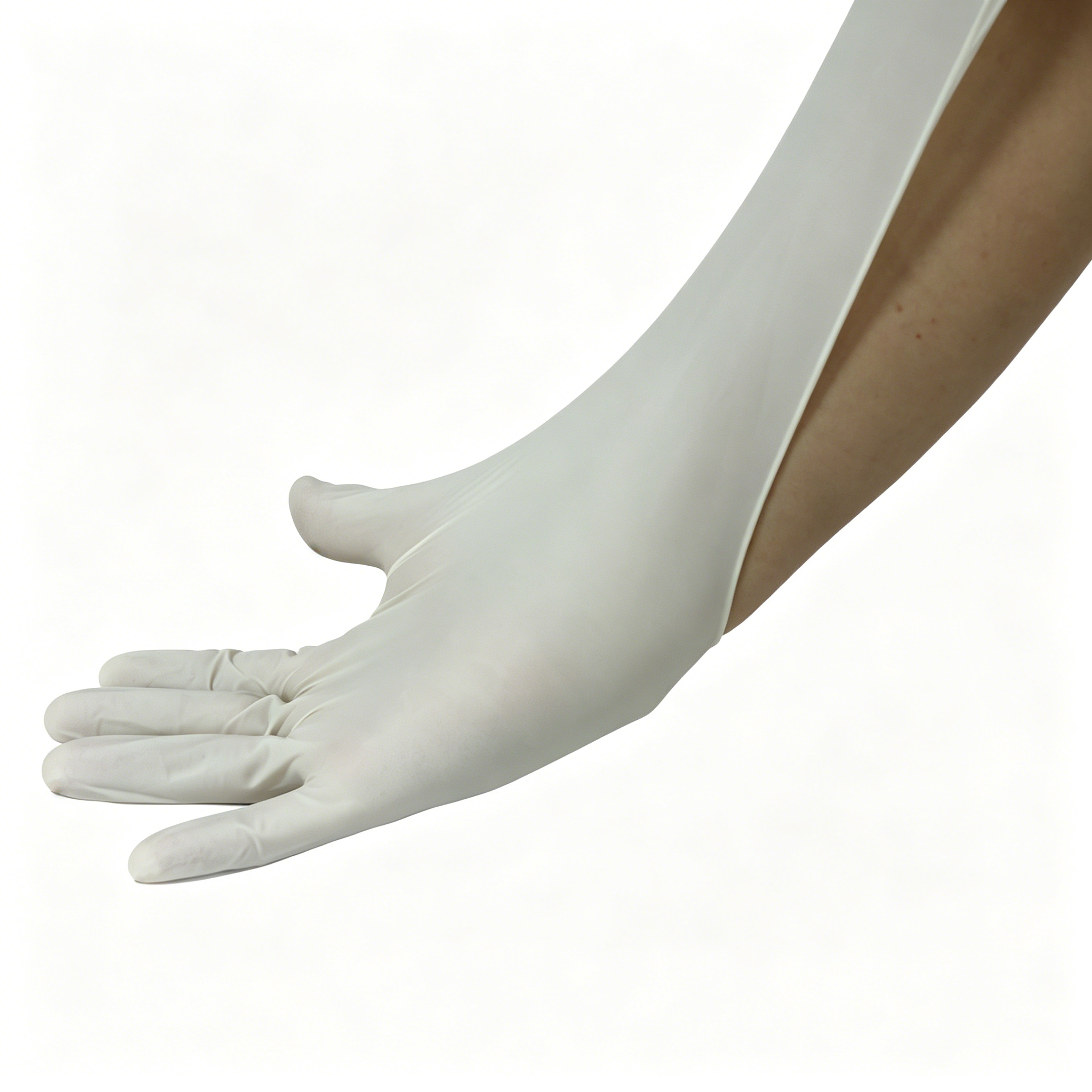 Disposable medical rubber exam - огляд і ціна Latex Disposable Glove