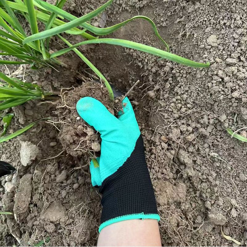 Gardening Gloves with Built-in - огляд і ціна Gardening Glove Waterproof